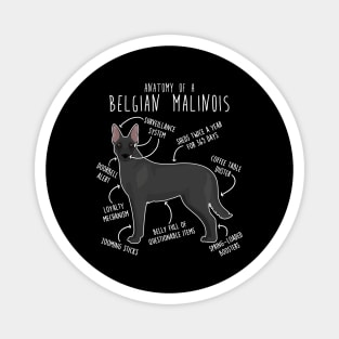 Black Belgian Malinois Dog Anatomy Magnet